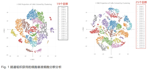 图片 11.png