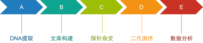 外显子流程图.png